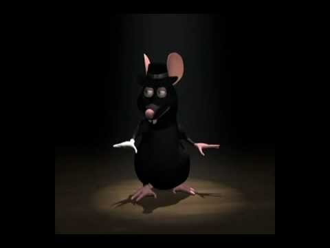 Dancing Rat