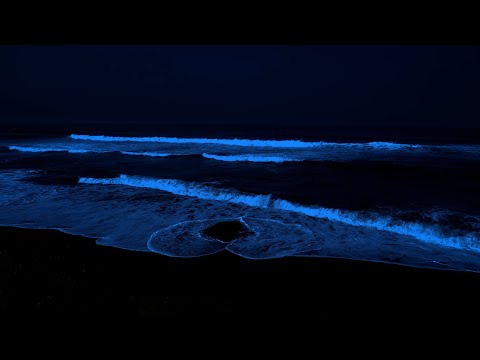 Thumbnail for Deep Relaxation: Continuous Ocean Waves White Noise | Ocean Sounds to Sleep, Study and Chill