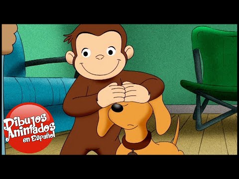 Thumbnail for Jorge el Curioso en Español ???? Hundley un Perro Grande???? Capitulos completos del Mono Jorge