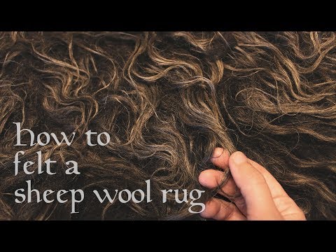 Thumbnail for How to felt a sheep wool rug (Timelapse with instructions) - Raw wool fleece