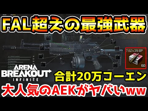 【アリブレPC版】4貫通弾が700コーエン超え！FALよりも大人気なPC版AEKが最強すぎるwwww【arenabreakoutInfinite】