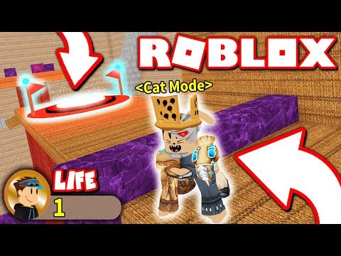 I BEAT THIS OBBY IN ONE LIFE... as a CAT?! (Roblox)