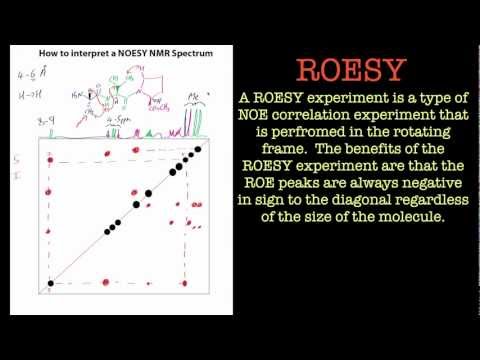 How to interpret a NOESY NMR spectrum