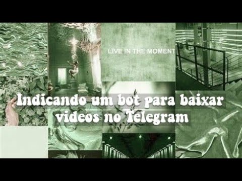 ⑅ ????   ׅ  ׄ????̸ ۪ ⭑ Indicando um bot para baixar vídeos no Telegram!