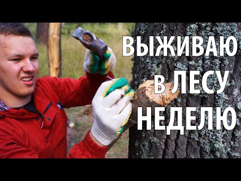 ЛАЙФХАКИ по ВЫЖИВАНИЮ в ЛЕСУ, часть 1. Уехал жить в ЛЕС на НЕДЕЛЮ! Часть 1