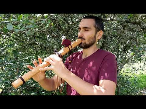 Flauta Indígena (Instrumento Xamanico - Flauta de Cura) Flauta Nativa Americana Gm (NAF)