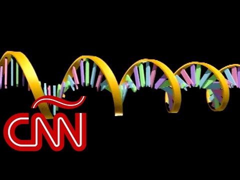 Los misterios del genoma humano