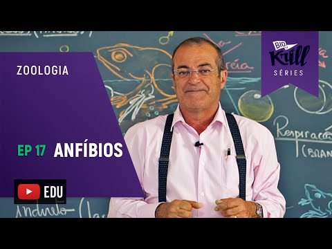 Anfíbios (Zoologia - EP17) I Biokrill Séries