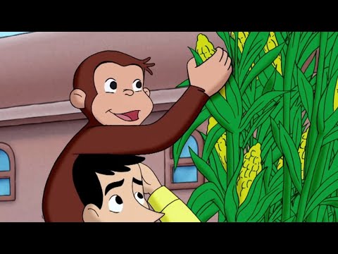 Jorge el Curioso en Español ???? Problema de Semillas ????Mono Jorge ????Caricaturas para Niños