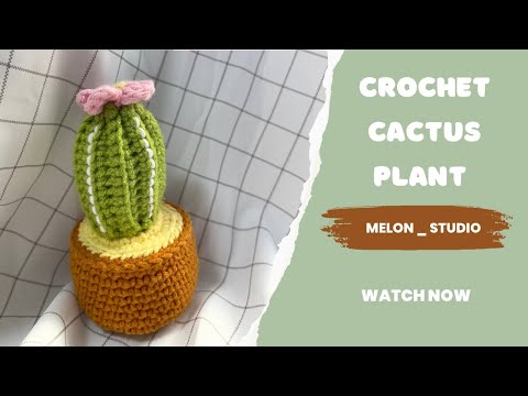 Crochet Cactus Plant/ MELON _ STUDIO #cactus #giftideas @melonstudiocrocheting