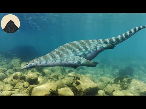 Evolution of Plesiosaurs