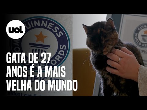 Gata de 27 anos é reconhecida como a mais velha do mundo e entra para o Guinness Book