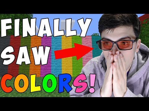 Thumbnail for Minecraft, But I'm Not Colorblind Anymore...
