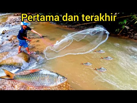 Menjala Di Sungai Jeram Lepas Hujan//memburu ikan sebarau dan kelah..