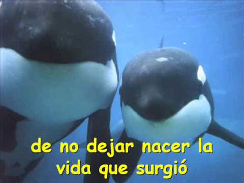 BALLENAS - ROBERTO CARLOS (CON LETRA) MÓNICA IRIARTE MANRIQUE