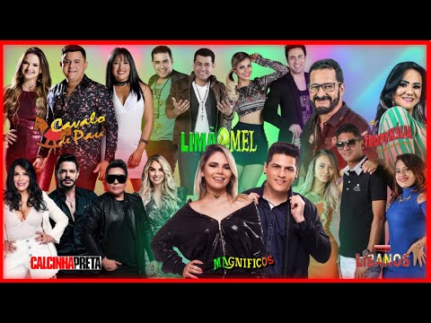 Thumbnail for Forró das Antigas -  Melhores Forró das Antigas I Magníficos I Limão com Mel I Calcinha Preta