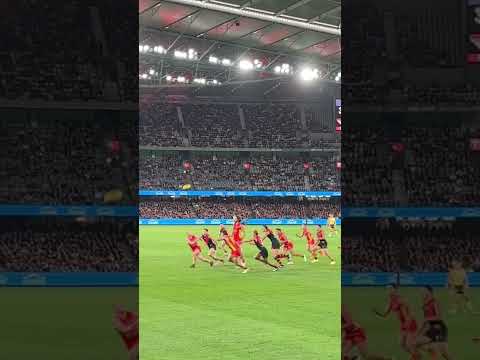 Le sport national australien ????????