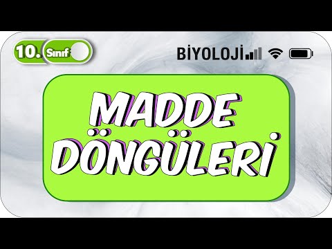 Madde Döngüleri | Tek Videoda Özet #2023