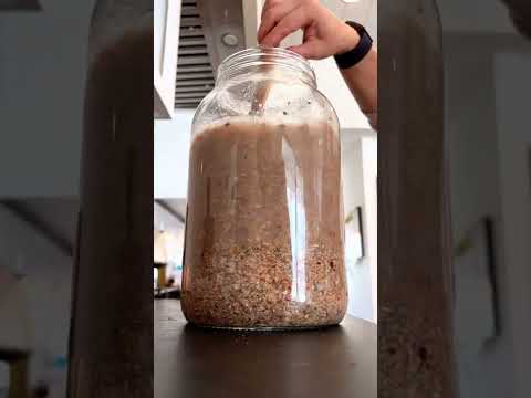 Thumbnail for How to FERMENT Chicken Feed (ASMR)