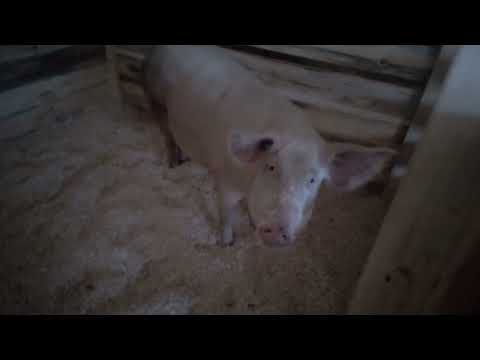 из тесной коморки на просторы