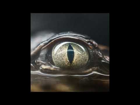 Joji - Glimpse of Us (Official Instrumental)