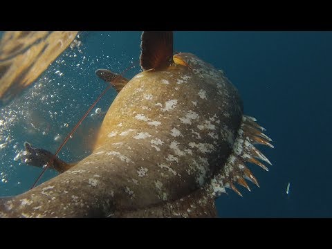 Thumbnail for La pesca del mero por debajo de los -45 mts