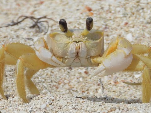 Grand Memories Varadero / Cuba