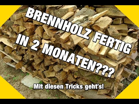 Brennholz fertig in 2 Monaten? So geht&apos;s!