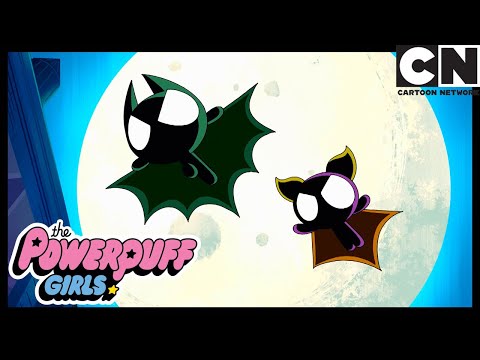 Blossom Çarpı Üç | Powerpuff Girls Türkçe | çizgi film | Cartoon Network
