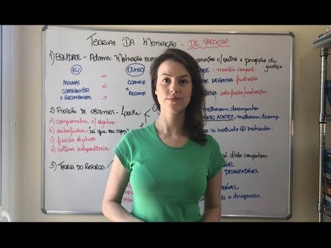 MOTIVAÇÃO - Teorias do Processo (Adams/Locke/Skinner)