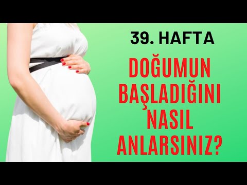 Thumbnail for Hamileliğin 39.Haftası | Doğumun Başladığını Nasıl Anlarsınız? | Hamile TV Hamile TV