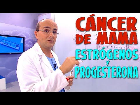 Thumbnail for CÁNCER DE MAMA - Estrógenos y Progesterona ¿Alguna relación? ¿Aumentan el riesgo? - CÁNCER #26