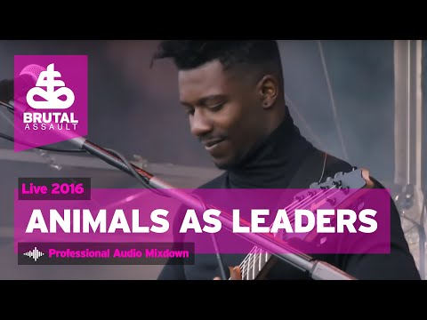 Brutal Assault 21 - Animals As Leaders (live) 2016