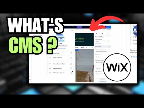What Is CMS In Wix Studio? (Full Guide)