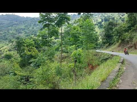 Thumbnail for West Usambaras Lushoto Mountains Reserve