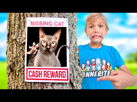 HELP....Caught on Security Camera Lost My Pet Cat With Babies!