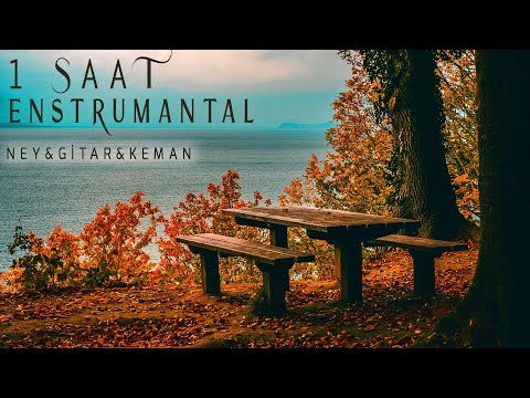 Thumbnail for 1 Saat Enstrümantal Fon Müzik // Huzur Dinlendirici