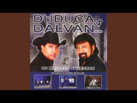 Thumbnail for Meus Pedaços