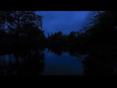 Thumbnail for 10 Часов ночное озеро в лесу, звуки сверчков, крепкий и глубокий сон, от бессонницы