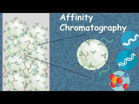 Affinity chromatography in 5 minutes | Affinity purification
