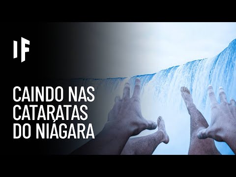 E se você caísse nas Cataratas do Niágara?