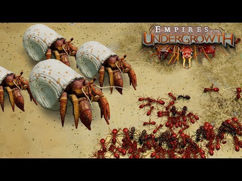 BATTLE ON THE BEACHES! - Empires of the Undergrowth BETA Gameplay | Ep4