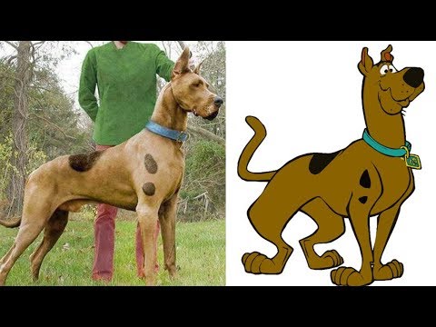 Gerçek Hayatta Var Olan 15 Çizgi Film Karakteri