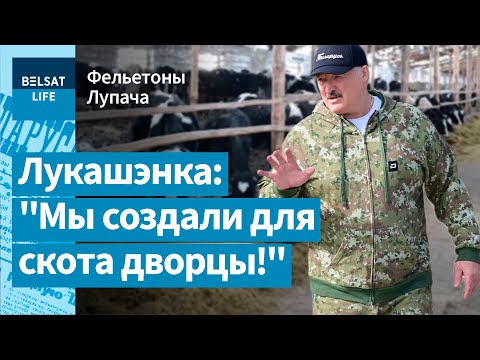 Да кожнага аграрыя прыставяць міліцэйскага анёла-ахоўніка / Фельетоны Лупача