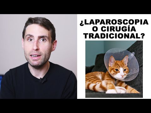 ¿Es mejor realizar la castración por laparoscopia o por cirugía tradicional?