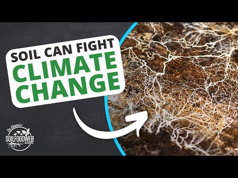 Soil Carbon Sequestration and the Soil Food Web | Soil Food Web School