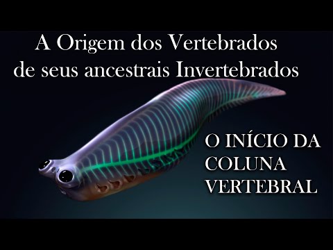 Vertebrados: Sucessos da vida com uma espinha dorsal! (EP. 06)