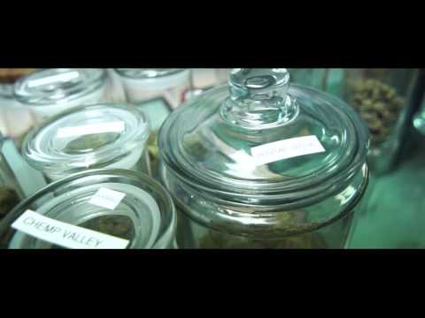 Thumbnail for 42 Twin - The Truth