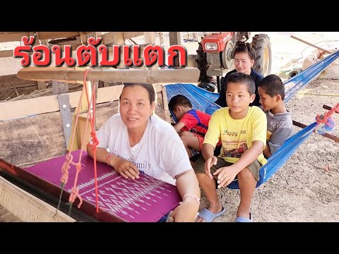 ยายมาต่ำหูก./ร้อนตับแตก พากันมานอนหลบอยู่ไต้เถียงนา.17/3/2023