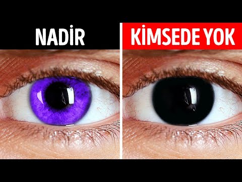 İnsanlar Neden Siyah Gözlü Doğmuyorlar? / Gözlerin Rengi Neden Böyle?